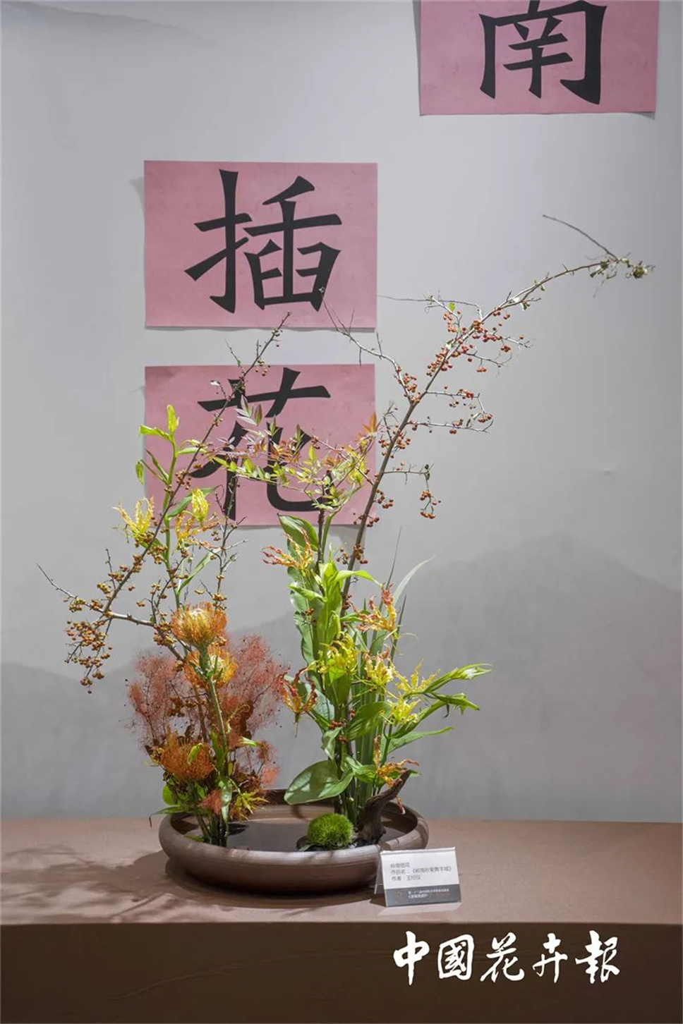 【采薇專欄】傳統(tǒng)插花要破圈兒?17個流派、名師的200個作品點亮南京“最美花展” 【采薇專欄】傳統(tǒng)插花要破圈兒?17個流派、名師的200個作品點亮南京“最美花展”