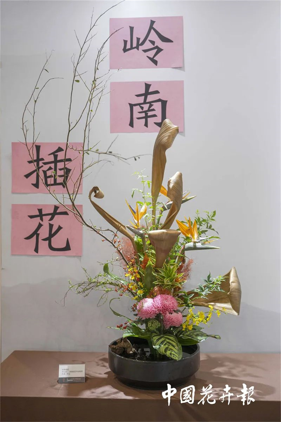 【采薇專欄】傳統(tǒng)插花要破圈兒?17個流派、名師的200個作品點亮南京“最美花展” 【采薇專欄】傳統(tǒng)插花要破圈兒?17個流派、名師的200個作品點亮南京“最美花展”