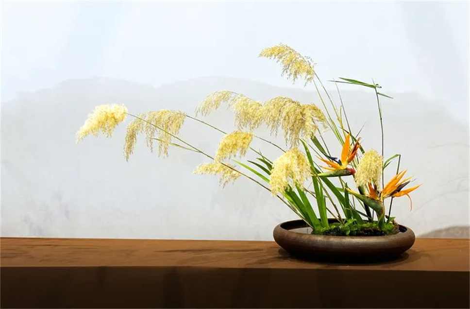 【采薇專欄】傳統(tǒng)插花要破圈兒?17個流派、名師的200個作品點亮南京“最美花展” 【采薇專欄】傳統(tǒng)插花要破圈兒?17個流派、名師的200個作品點亮南京“最美花展”