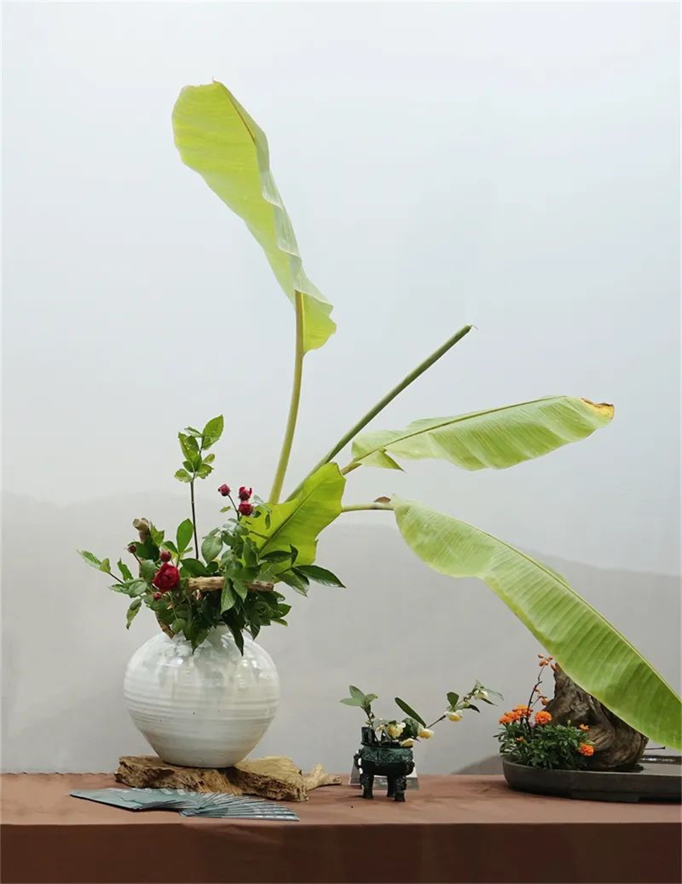 【采薇專欄】傳統(tǒng)插花要破圈兒?17個流派、名師的200個作品點亮南京“最美花展” 【采薇專欄】傳統(tǒng)插花要破圈兒?17個流派、名師的200個作品點亮南京“最美花展”