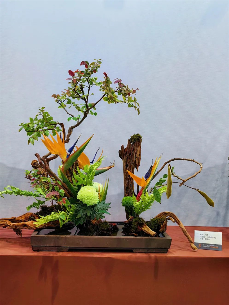 【采薇專欄】傳統(tǒng)插花要破圈兒?17個流派、名師的200個作品點亮南京“最美花展” 【采薇專欄】傳統(tǒng)插花要破圈兒?17個流派、名師的200個作品點亮南京“最美花展”