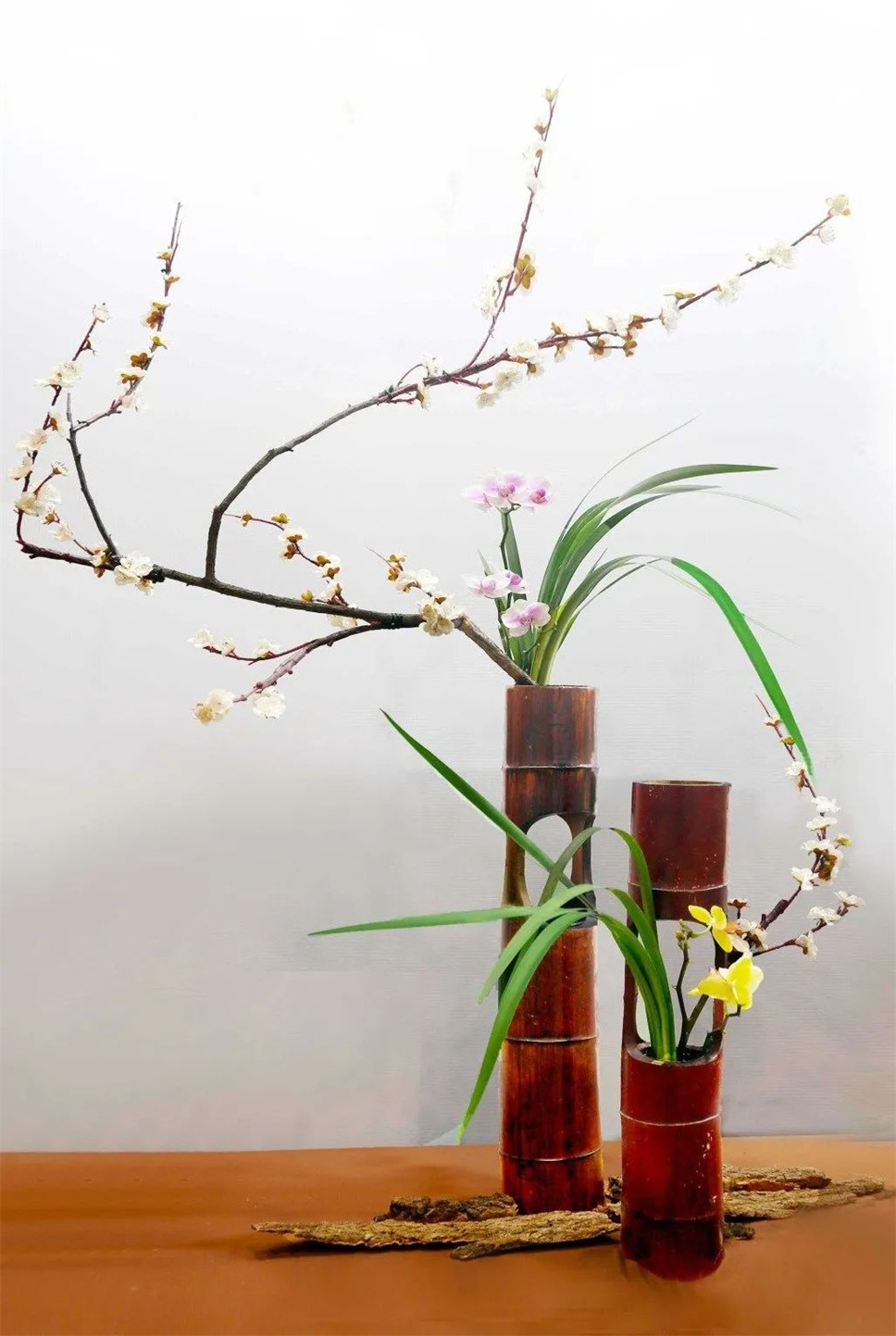 【采薇專欄】傳統(tǒng)插花要破圈兒?17個流派、名師的200個作品點亮南京“最美花展” 【采薇專欄】傳統(tǒng)插花要破圈兒?17個流派、名師的200個作品點亮南京“最美花展”