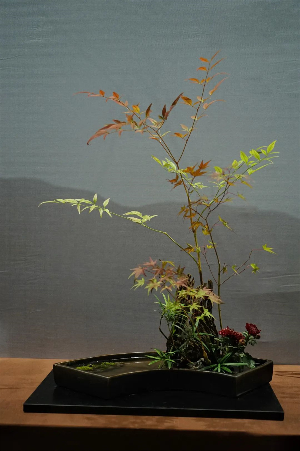 【采薇專欄】傳統(tǒng)插花要破圈兒?17個流派、名師的200個作品點亮南京“最美花展” 【采薇專欄】傳統(tǒng)插花要破圈兒?17個流派、名師的200個作品點亮南京“最美花展”