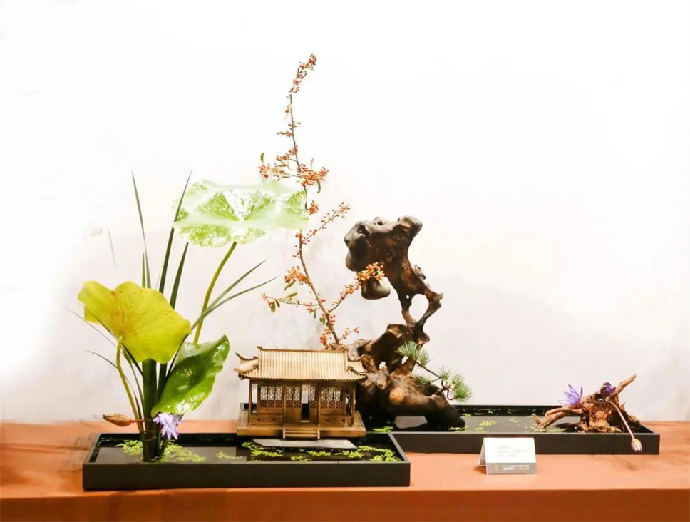 【采薇專欄】傳統(tǒng)插花要破圈兒?17個流派、名師的200個作品點亮南京“最美花展” 【采薇專欄】傳統(tǒng)插花要破圈兒?17個流派、名師的200個作品點亮南京“最美花展”